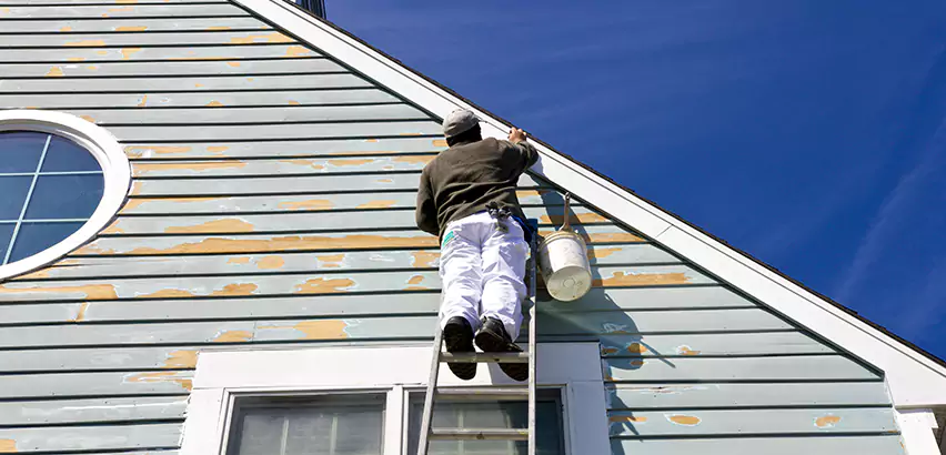 Professional Roof and Siding Repair Services in Murrieta, CA