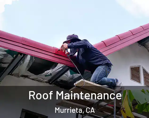  Roof Maintenance Murrieta, CA